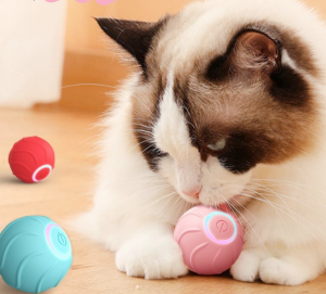 Giochi Interattivi per Gatti